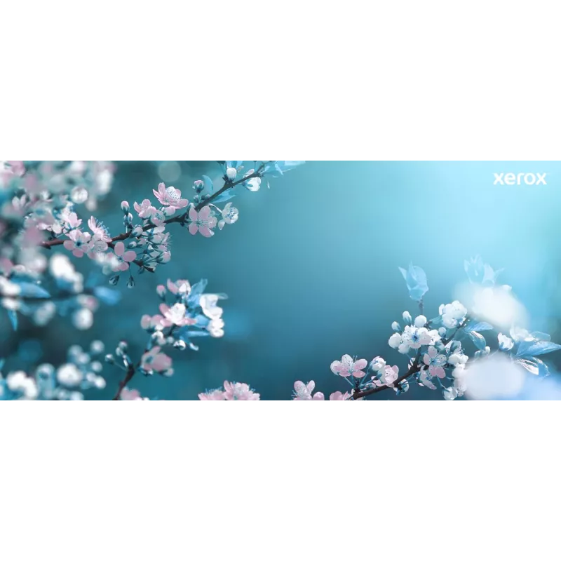 Xerox Original® B225 multifunción/B230 impresora/B235 multifunción cartucho de tóner negro de capacidad estándar (1200 páginas) – 006R04399