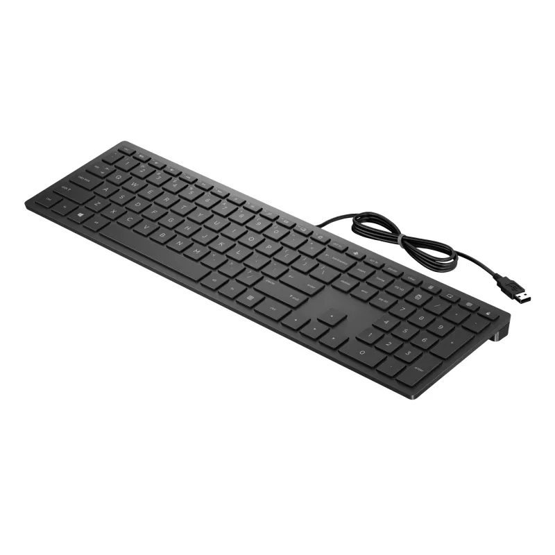 HP Pavilion Teclado con cable 300, tamaño completo (100%), con cable, USB, mecánico, negro