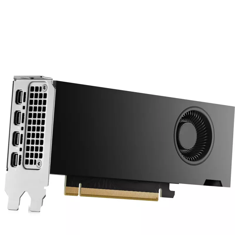 HP NVIDIA RTX 2000 Ada 16GB GDDR6 Tarjeta gráfica, 4x Mini DisplayPort (8D6B8AA)