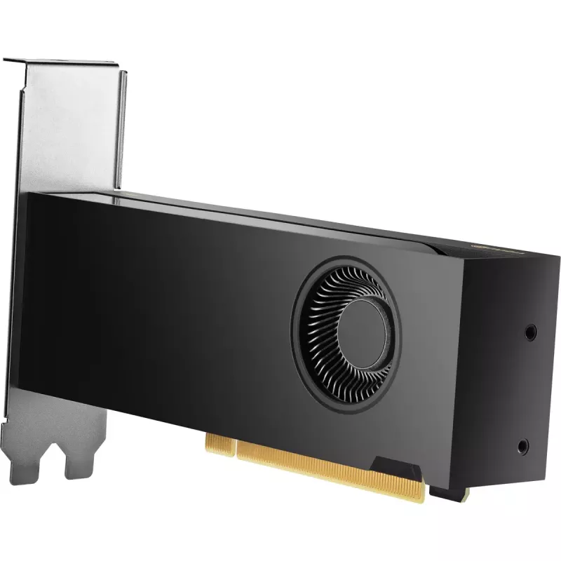 HP NVIDIA RTX 2000 Ada 16GB GDDR6 Tarjeta gráfica, 4x Mini DisplayPort (8D6B8AA)