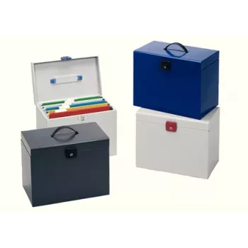 Esselte 48320 Caja de archivo metálica varios colores