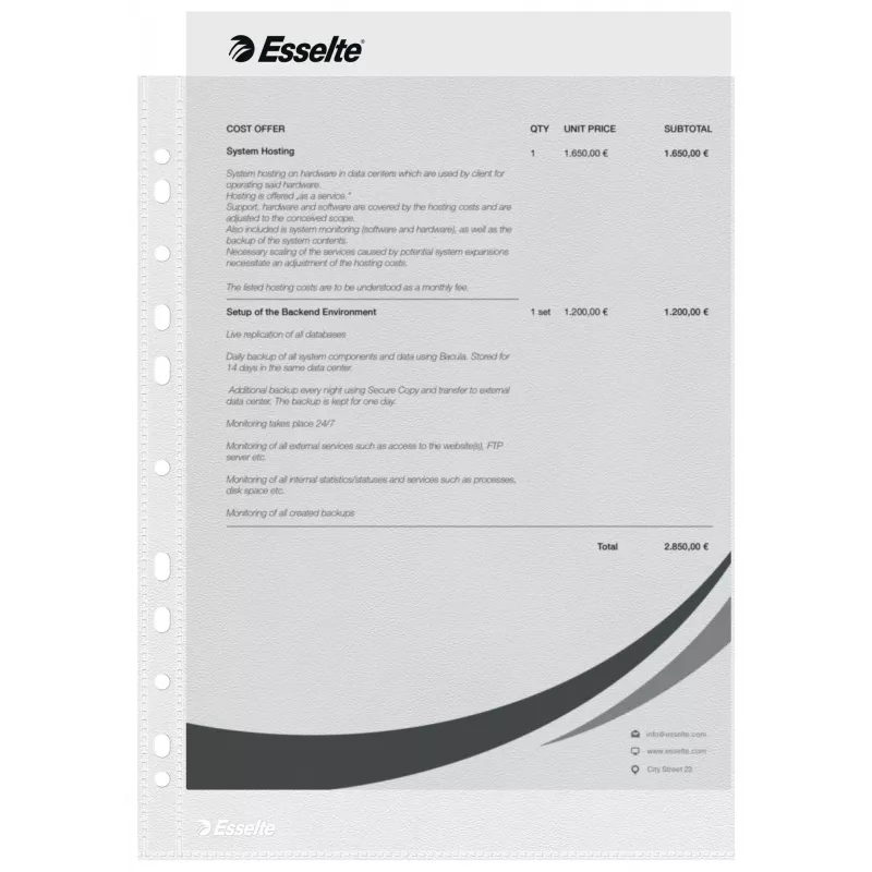 Esselte Fundas transparentes A4 – Economy –, 210 x 297 mm (A4), transparente, polipropileno (PP), vertical, superior, 230 mm