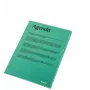Esselte Archivador 105my A4 caja de 100, A4, polipropileno (PP), verde, vertical, 220 mm, 1 mm