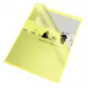 Esselte Funda 105my A4 caja de 100
