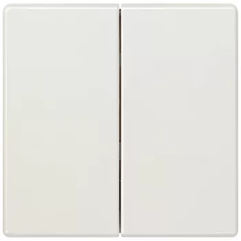Siemens 5TG7145 placa mural/tapa de interruptor multicolor