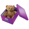 Leitz Click & Store WOW caja de almacenamiento mediana, lila, cartón, 16,7 L, 281 mm, 200 mm, 265 x 335 x 188 mm