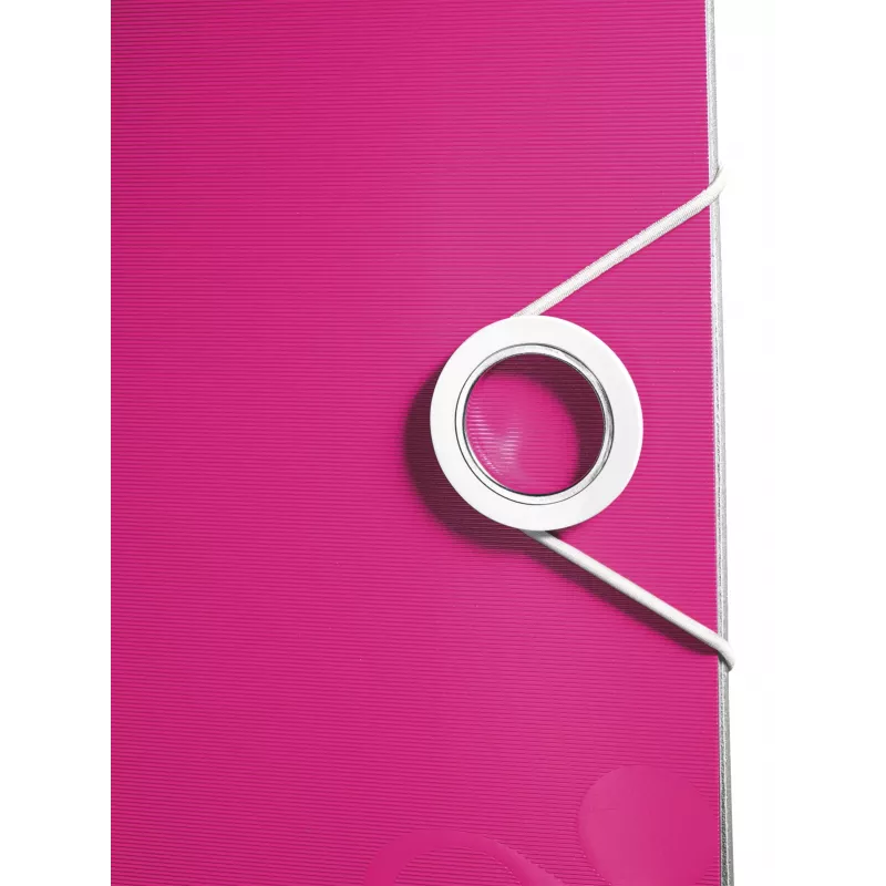 Leitz Archivo de palanca Active PP WOW A4/80 mm, A4, Polyfoam, Rosa, 500 hojas, 80 g/m², 8,2 cm