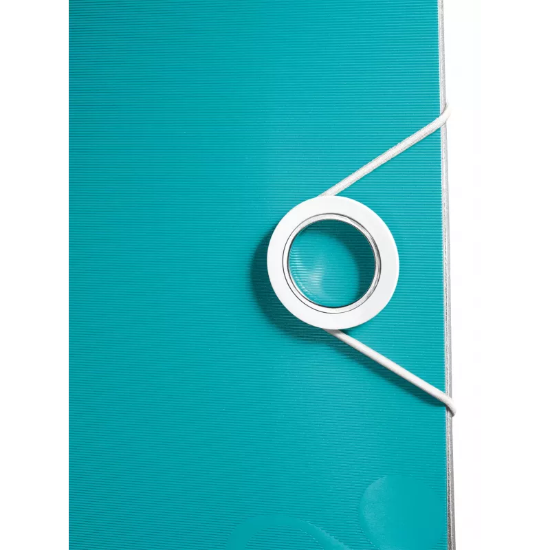 Leitz Archivo de palanca Active PP WOW A4/80 mm, A4, Polyfoam, Turquesa, 500 hojas, 80 g/m², 8,2 cm