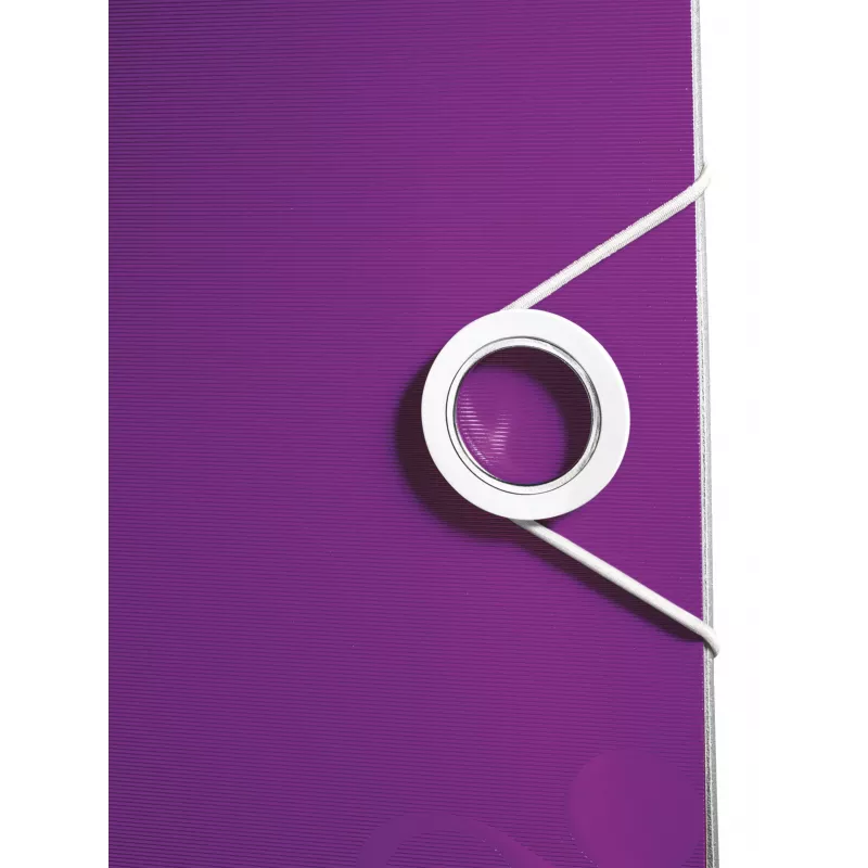 Leitz Archivo de palanca Active PP WOW A4/80 mm, A4, Polyfoam, Violeta, 500 hojas, 80 g/m², 8,2 cm