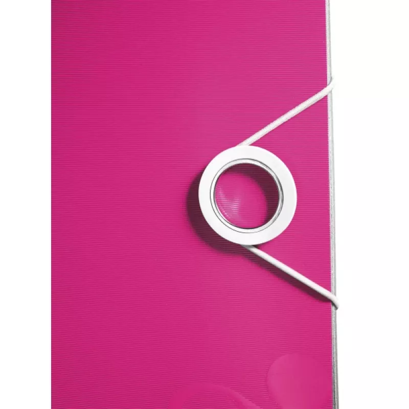 Leitz Archivo Active PP WOW A4/65 mm, A4, Polyfoam, Rosa, 350 hojas, 80 g/m², 6,5 cm