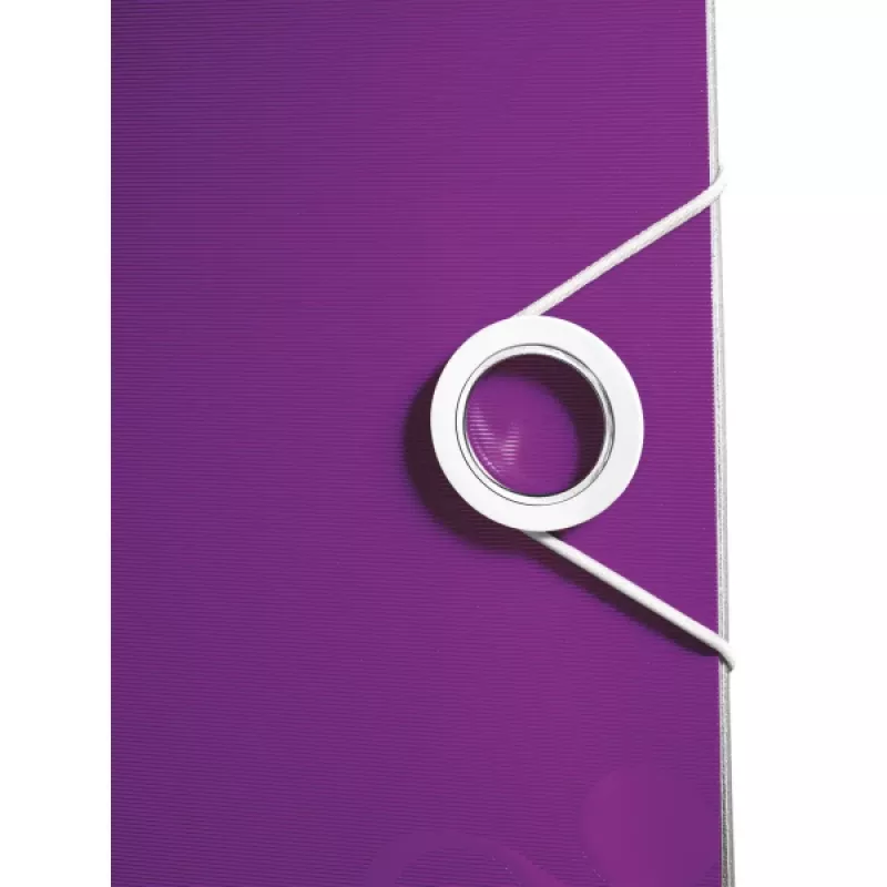 Leitz Archivo de palanca Active PP WOW A4/65 mm, A4, Polyfoam, Morado, 350 hojas, 80 g/m², 6,5 cm