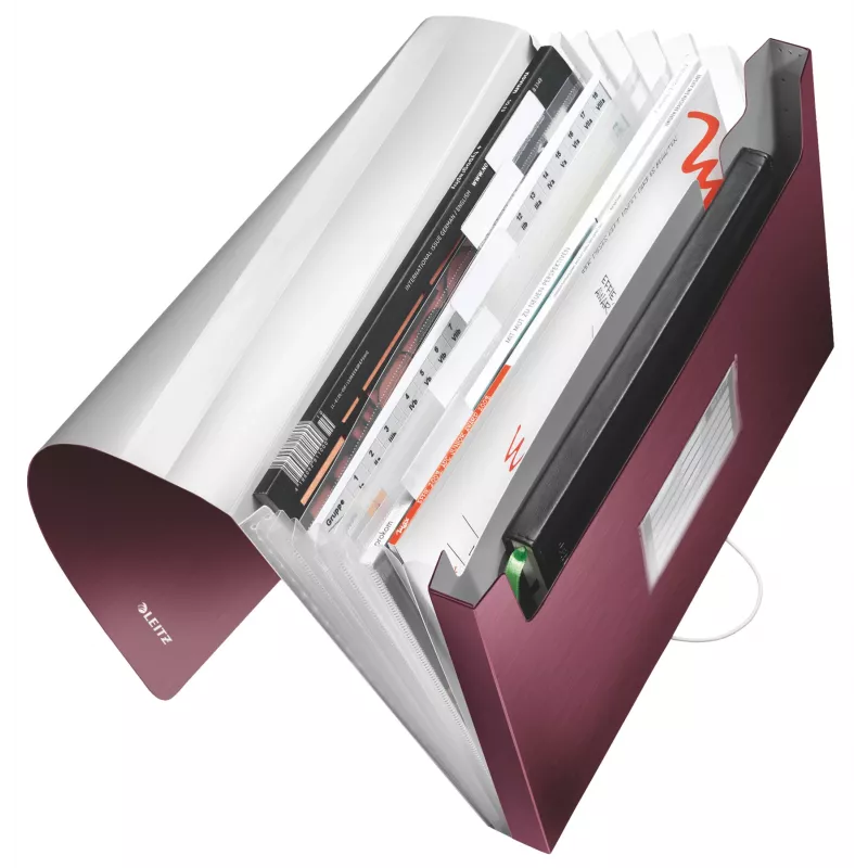 Leitz carpeta de proyecto acordeón ampliable de PP, A4, polipropileno (PP), rojo, 250 hojas, 80 g/m², 6 compartimentos