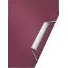 Leitz carpeta de proyecto acordeón ampliable de PP, A4, polipropileno (PP), rojo, 250 hojas, 80 g/m², 6 compartimentos
