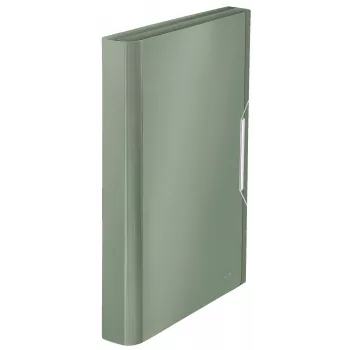 Leitz carpeta de archivo acordeón ampliable de PP, A4, polipropileno (PP), verde, 250 hojas, 80 g/m², 6 compartimentos