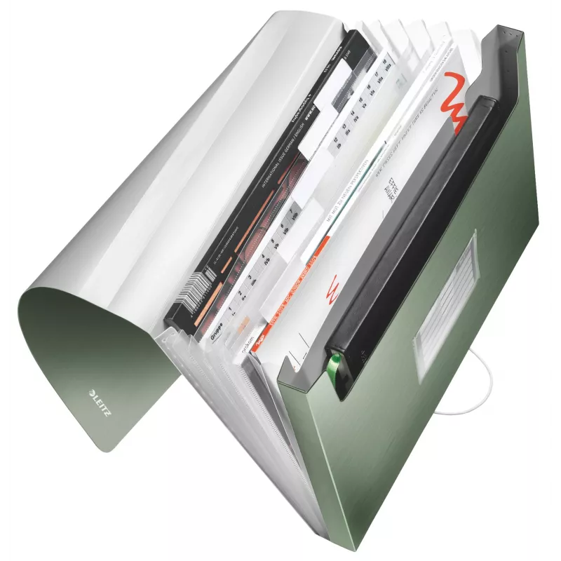 Leitz carpeta de archivo acordeón ampliable de PP, A4, polipropileno (PP), verde, 250 hojas, 80 g/m², 6 compartimentos
