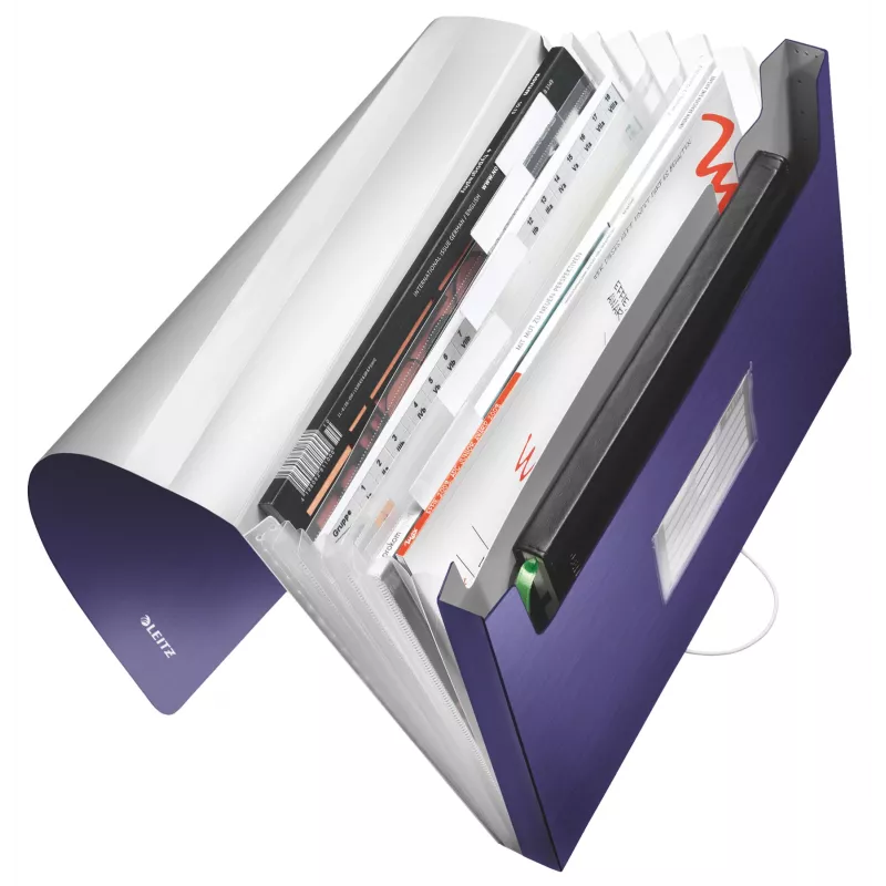 Leitz carpeta acordeón ampliable de PP, A4, polipropileno (PP), azul, 250 hojas, 80 g/m², 6 compartimentos