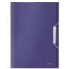Leitz carpeta acordeón ampliable de PP, A4, polipropileno (PP), azul, 250 hojas, 80 g/m², 6 compartimentos