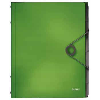 Leitz Registerbuch Solid 6 pestañas, carpeta con solapa, A4, polipropileno (PP), verde, 200 hojas, 80 g/m²