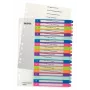 Esselte 1245-00-00 índice numérico de polipropileno (PP) multicolor