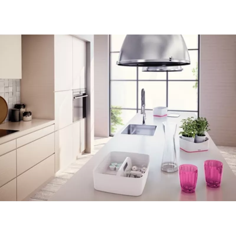Esselte 5257-10-23 caja de almacenamiento rectangular acrilonitrilo butadieno estireno (ABS) rosa, blanco