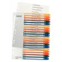 Leitz 12960000 índice numérico con pestañas polipropileno (PP) multicolor