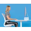 Leitz Soporte para monitor ajustable Ergo WOW, 68,6 cm (27