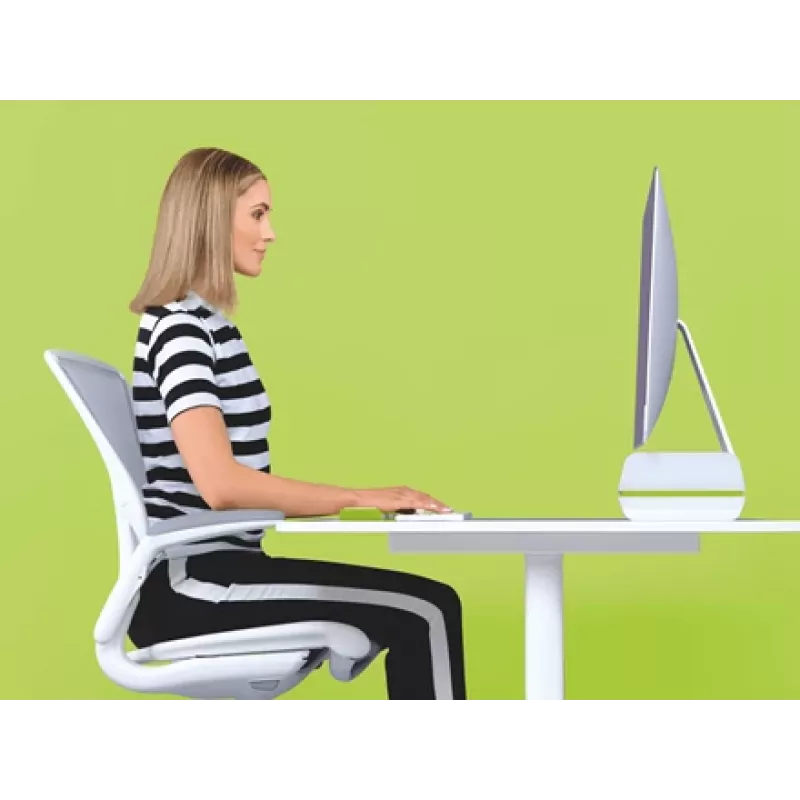 Leitz Soporte para monitor ajustable Ergo WOW, 68,6 cm (27