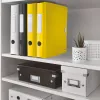 Leitz Archivo de palanca Active PP WOW A4/65mm, A4, anilla D, almacenamiento, polyfoam, amarillo, 350 hojas