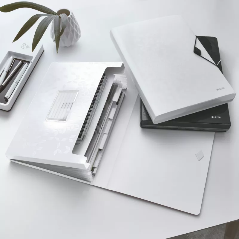 Leitz Carpeta de proyecto WOW PP, carpeta ampliable, A4, polipropileno (PP), blanco, horizontal, 250 hojas