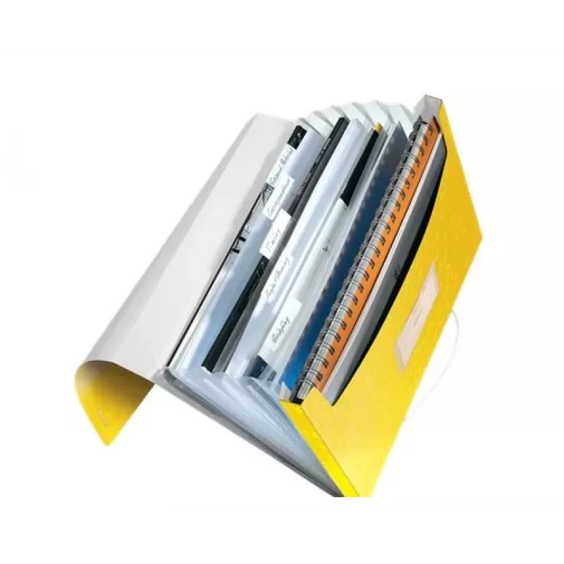 Leitz Carpeta de proyecto WOW PP, A4, polipropileno (PP), amarillo, vertical, 250 hojas, 80 g/m²