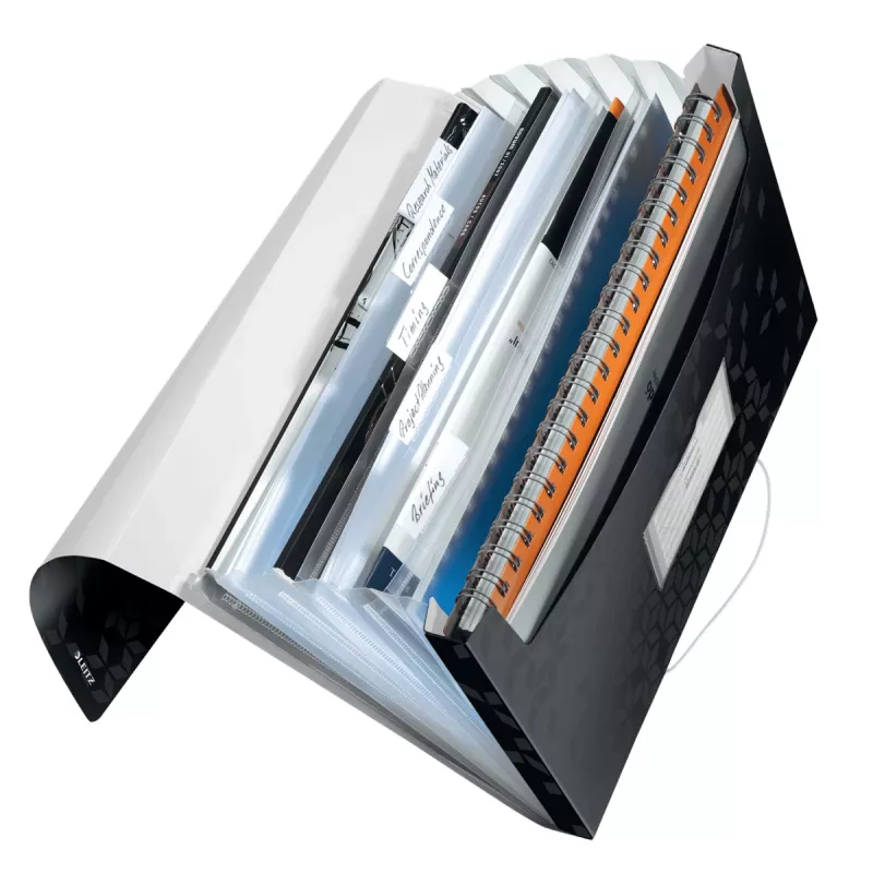 Leitz Carpeta de proyecto WOW PP, carpeta de solapa, A4, polipropileno (PP), negro, horizontal/vertical, 250 hojas