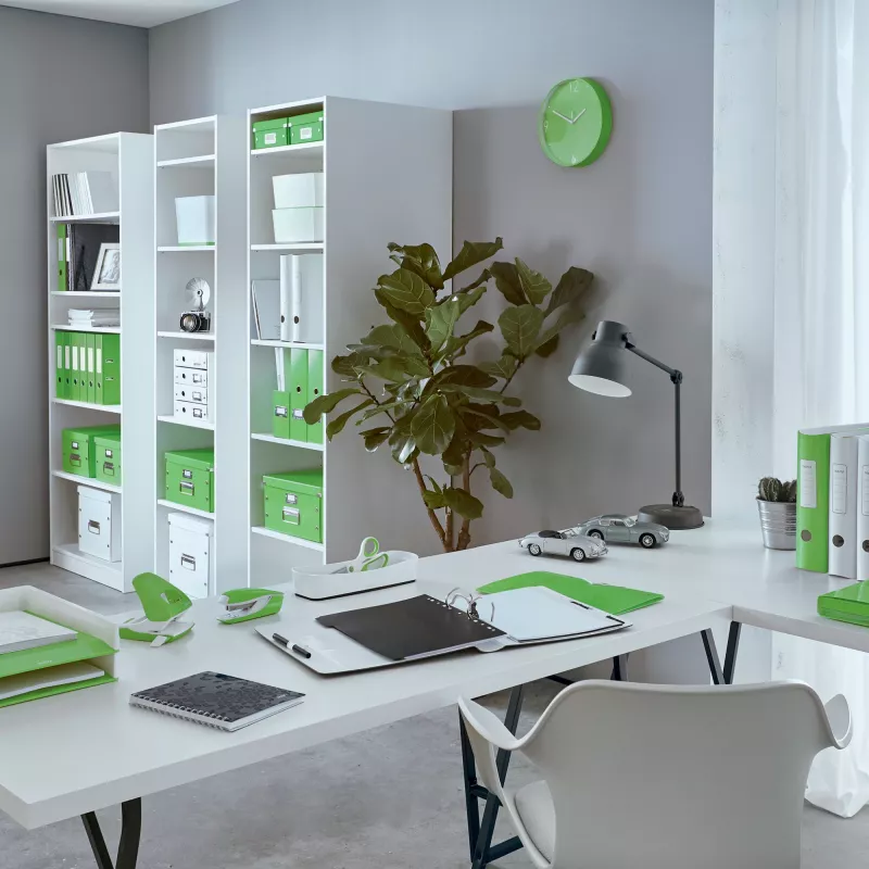 Leitz Archivo de palanca Active PP WOW A4/65 mm, A4, anilla D, almacenamiento, polyfoam, verde, 350 hojas