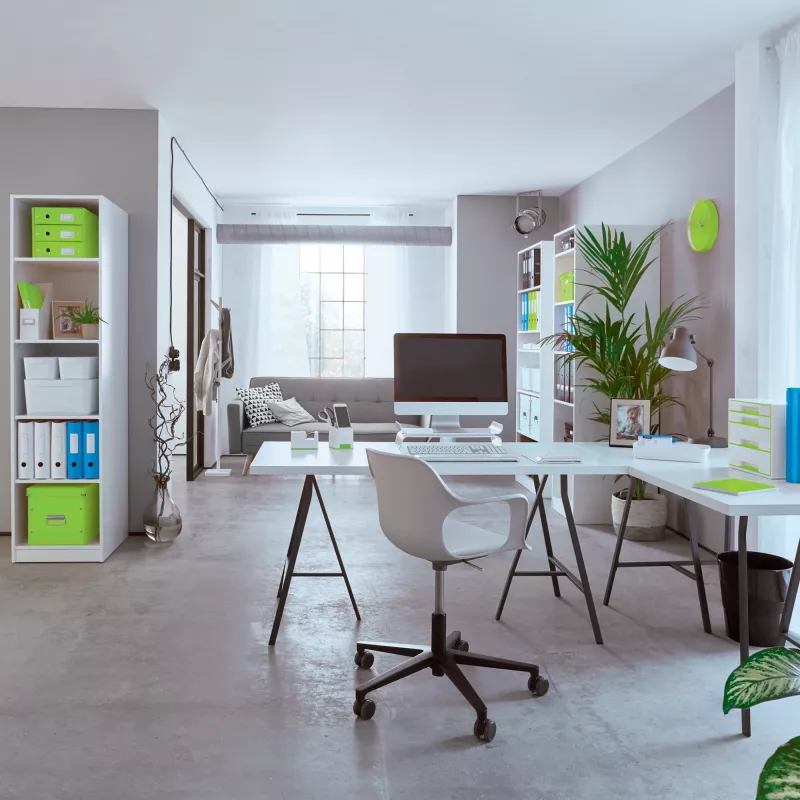 Leitz Archivo de anillas WOW laminado A4+ 2DR/25 mm, A4+, anilla D, cartón, verde, 250 hojas, 80 g/m²