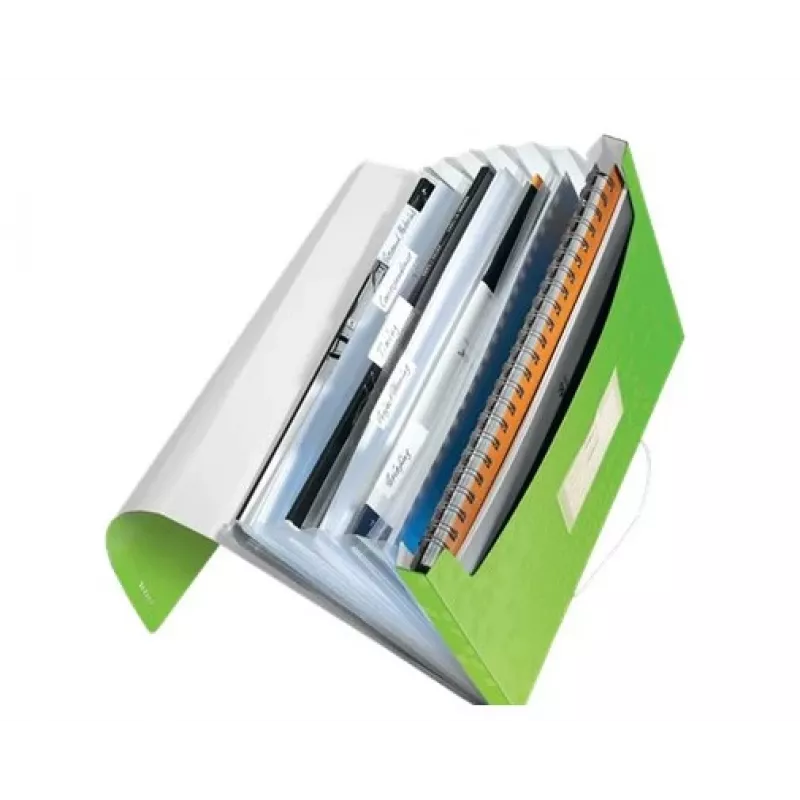 Leitz Carpeta de proyecto WOW PP, A4, polipropileno (PP), verde, vertical, 250 hojas, 80 g/m²