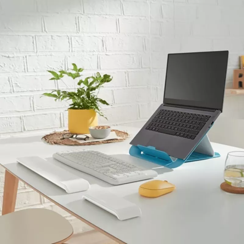Leitz Ergo Cosy reposamuñecas ajustable para teclado, gris, 71 mm, 22 mm, 437 mm, 790 g, 71 x 22 x 437 mm