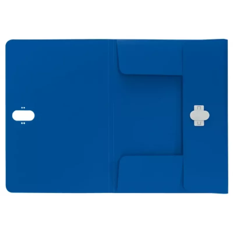 Leitz Recycle carpeta de 3 solapas, carpeta de fundas, A4, polipropileno (PP), azul, horizontal, 150 hojas
