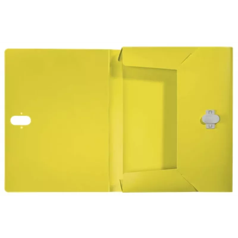 Leitz Recycle archivador de caja, archivador convencional, A4, polipropileno (PP), amarillo, horizontal/vertical, 250 hojas