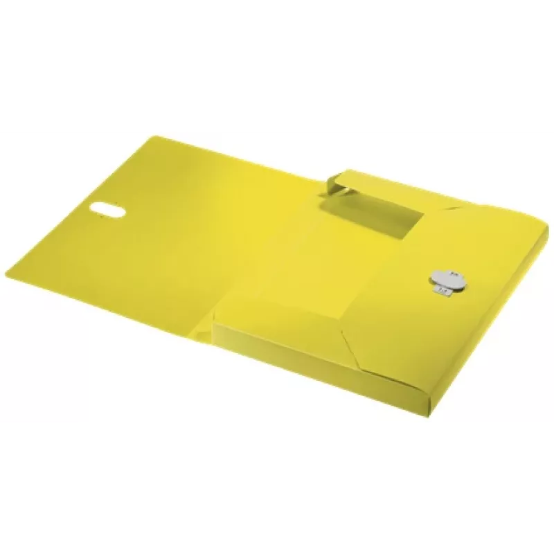 Leitz Recycle archivador de caja, archivador convencional, A4, polipropileno (PP), amarillo, horizontal/vertical, 250 hojas