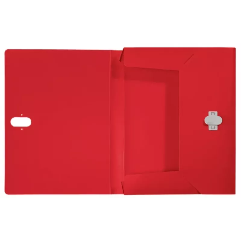 Leitz Recycle archivador de caja, archivador convencional, A4, polipropileno (PP), rojo, horizontal/vertical, 250 hojas