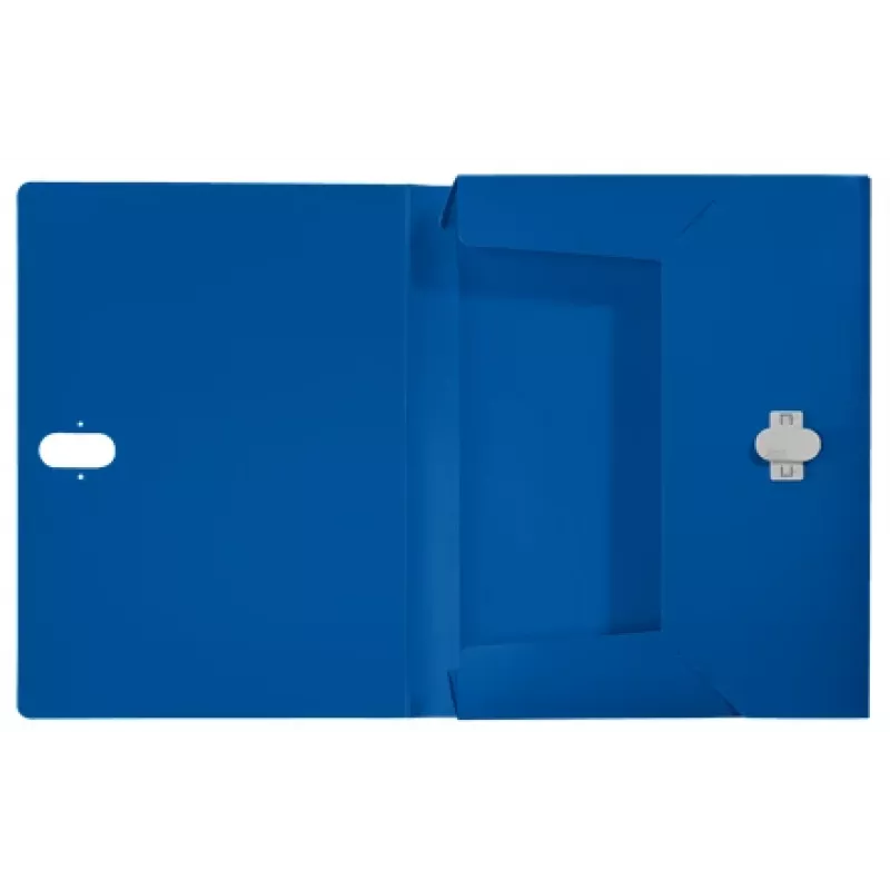 Leitz Recycle archivador de caja, archivador convencional, A4, polipropileno (PP), azul, horizontal/vertical, 250 hojas