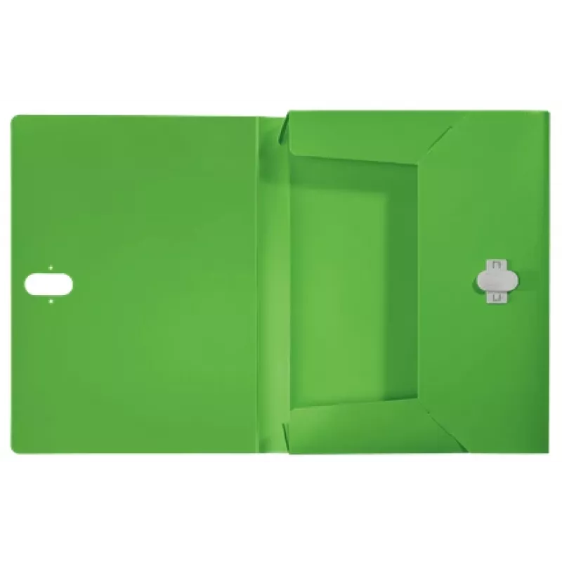Leitz Recycle archivador de caja, archivador convencional, A4, polipropileno (PP), verde, horizontal/vertical, 250 hojas