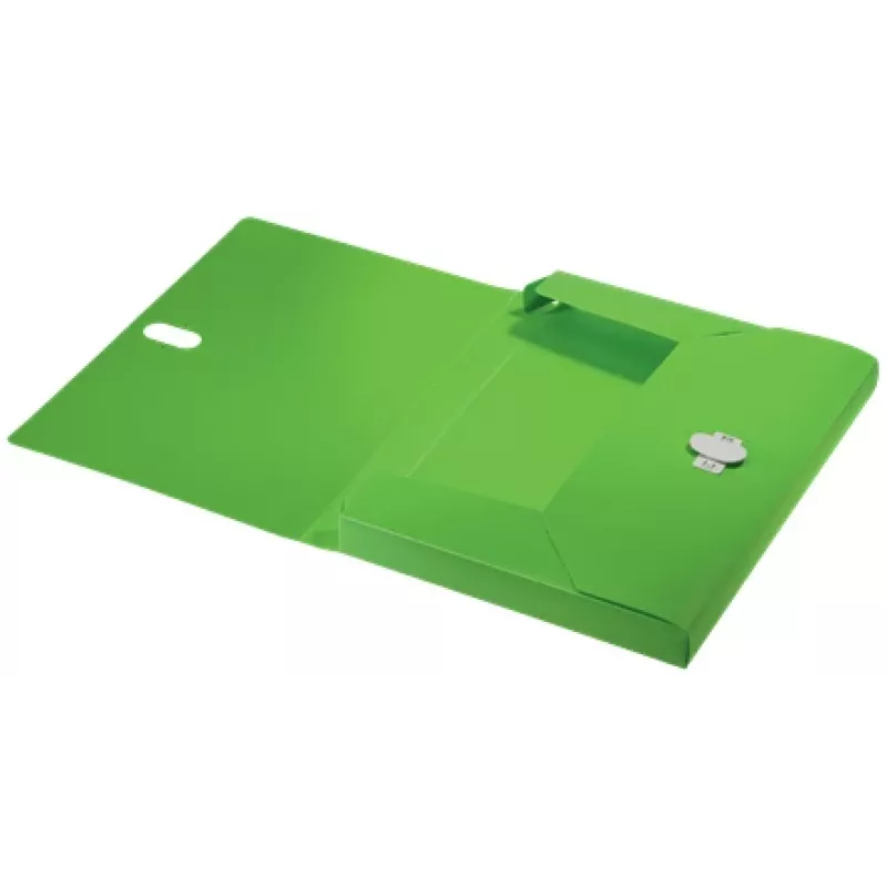 Leitz Recycle archivador de caja, archivador convencional, A4, polipropileno (PP), verde, horizontal/vertical, 250 hojas