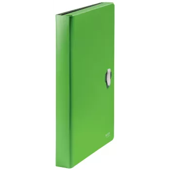 Leitz Recycle carpeta de fuelle ampliable, archivador convencional, A4, polipropileno (PP), verde, horizontal, 250 hojas