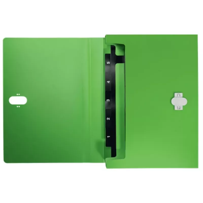 Leitz Recycle carpeta de fuelle ampliable, archivador convencional, A4, polipropileno (PP), verde, horizontal, 250 hojas