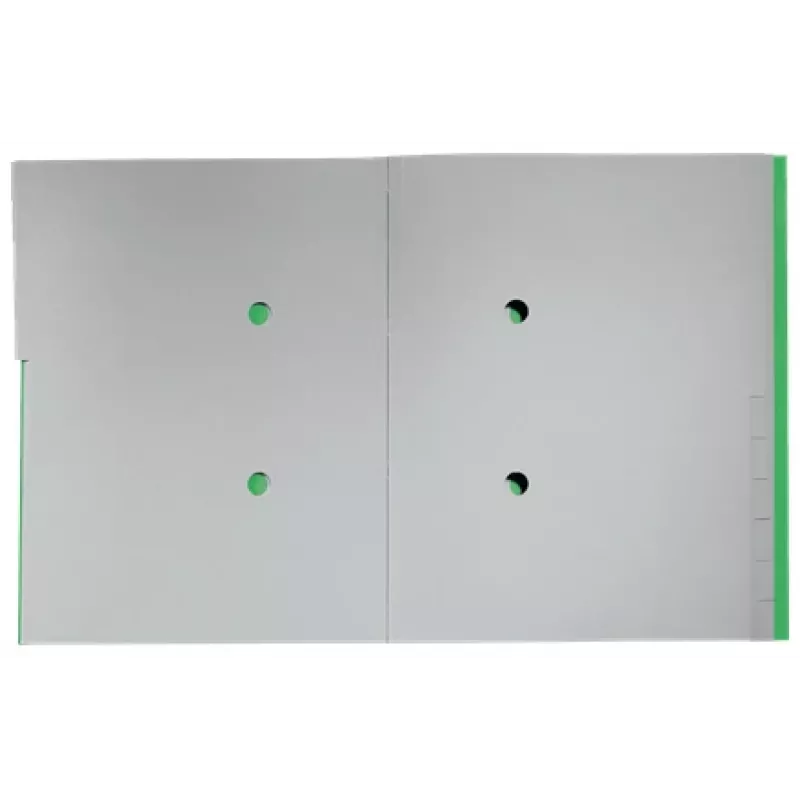 Leitz Recycle bloc registro de cartón, archivador convencional, A4, cartón, verde, 430 g/m², goma