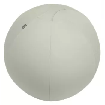 Leitz Ergo balón de asiento activo con sistema antirrodadura 65 cm, gris, talla única, 150 kg, adultos, adulto, TÜV