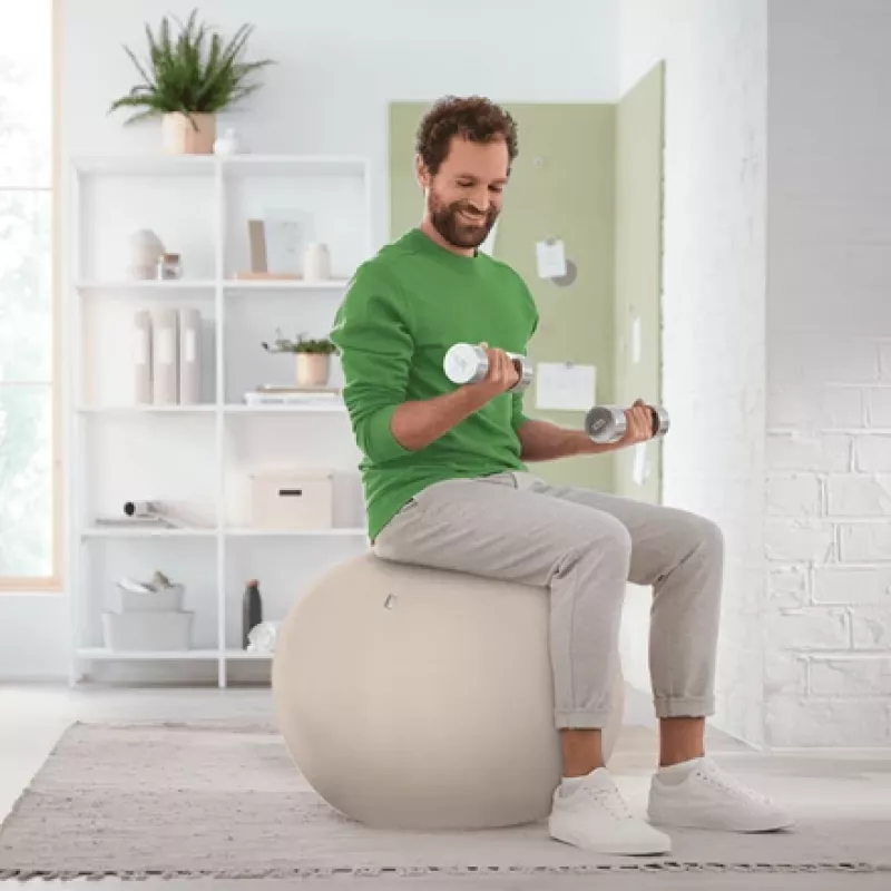 Leitz Ergo balón de asiento activo con sistema antirrodadura 65 cm, gris, talla única, 150 kg, adultos, adulto, TÜV