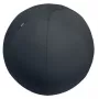 Leitz Ergo balón de asiento activo con sistema antirrodadura 65 cm, gris, talla única, 150 kg, TÜV, 65 cm, 2,87 kg
