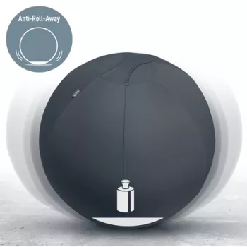 Leitz Ergo balón de asiento activo con sistema antirrodadura 65 cm, gris, talla única, 150 kg, TÜV, 65 cm, 2,87 kg
