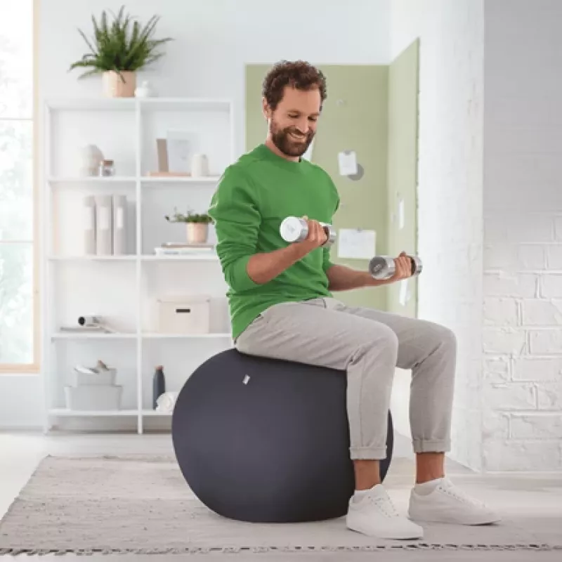 Leitz Ergo balón de asiento activo con sistema antirrodadura 65 cm, gris, talla única, 150 kg, TÜV, 65 cm, 2,87 kg